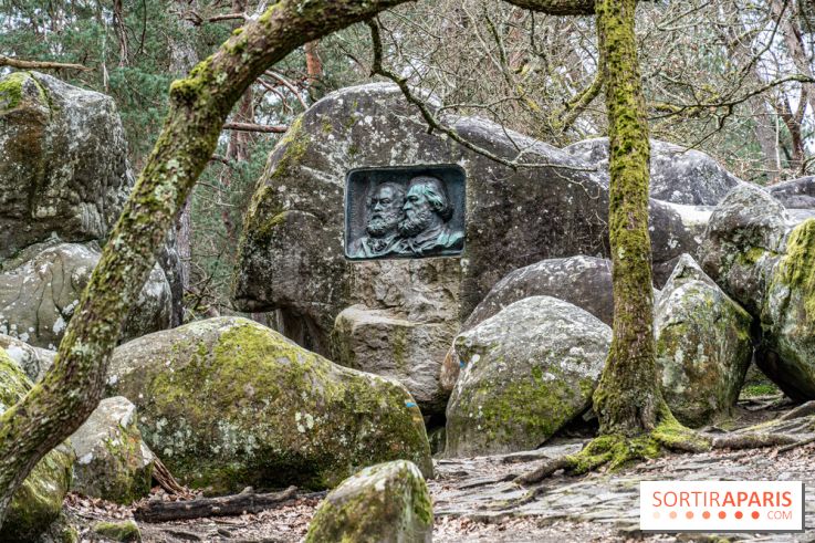 Nuit des Forêts à Fontainebleau 2023 entre art, nature et découvertes gratuites