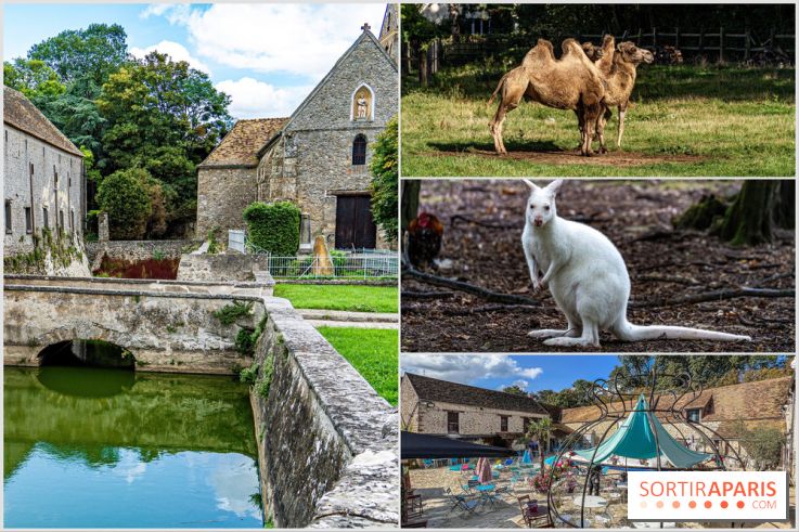Janvry, le charmant village au Parc animalier gratuit et animations