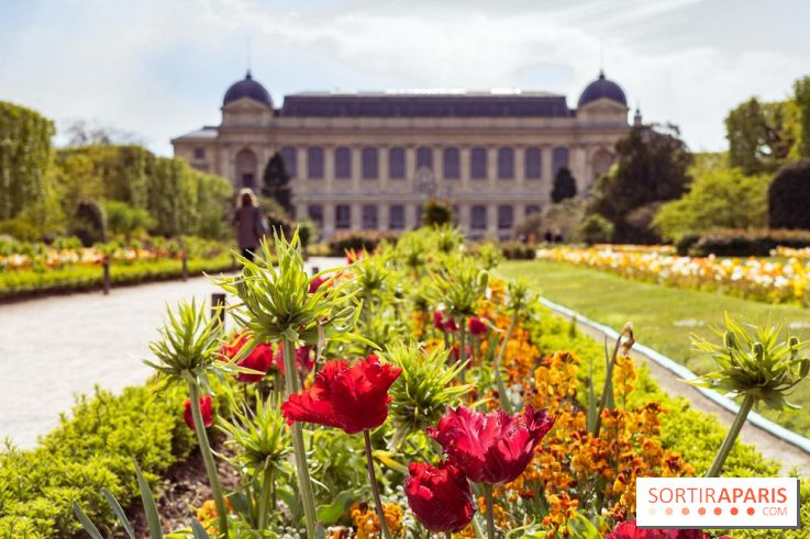 8 trésors méconnus du Jardin des Plantes de Paris à découvrir absolument