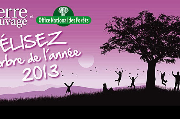 Exposition "Arbre de l'année" au Parc André Citroën