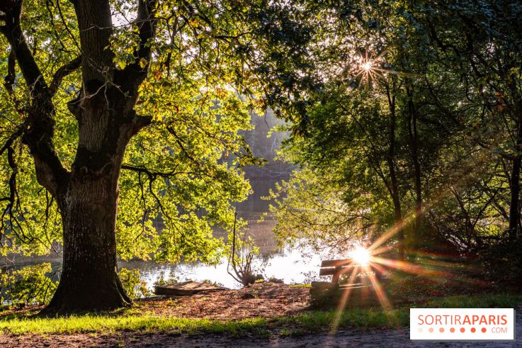 Le Sentier des maréchaux, la balade pédagogique en Vallée de Chevreuse
