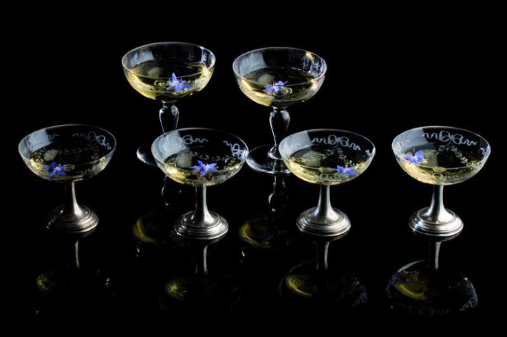 Le Festival de la Photographie Culinaire : bourrache