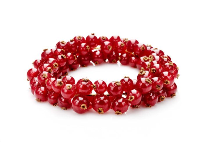 Festival de la Photographie Culinaire : Bracelet