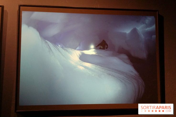 Exposition Under The Pole à l'Aquarium de Paris
