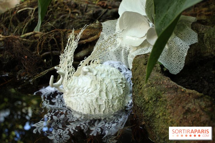 Noces Végétale au Jardin des Plantes : ilots
