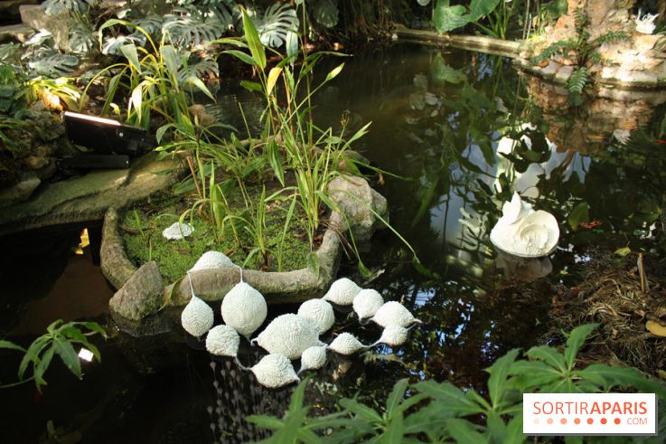 Noces Végétale au Jardin des Plantes : ilots