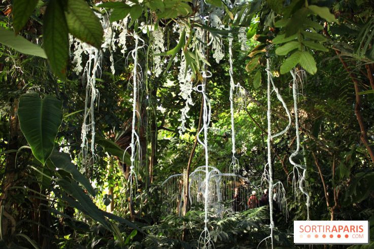 Noces Végétale au Jardin des Plantes : portique de dentelle