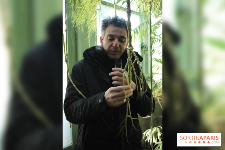 Noces Végétales au Jardin des Plantes : Tzuri Gueta