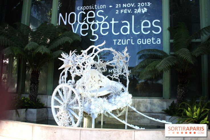 Noces Végétales au Jardin des Plantes : la calèche
