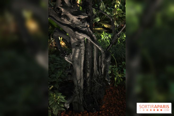 Noces Végétales au Jardin des Plantes : le marié