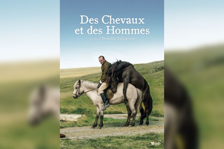 Des Chevaux et des Hommes