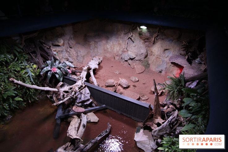 Aquarium de la Porte Dorée à Paris