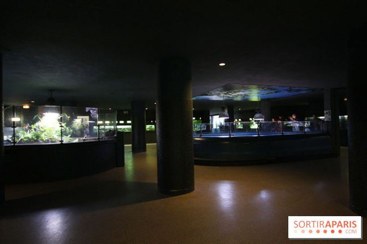 Aquarium de la Porte Dorée à Paris
