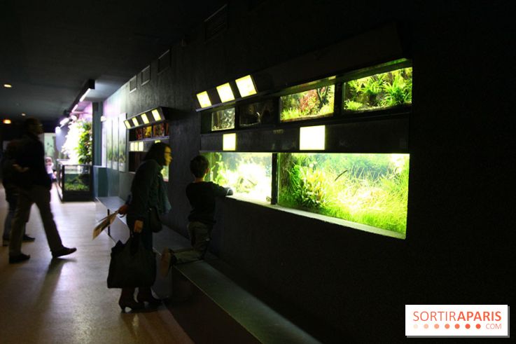 Aquarium de la Porte Dorée à Paris