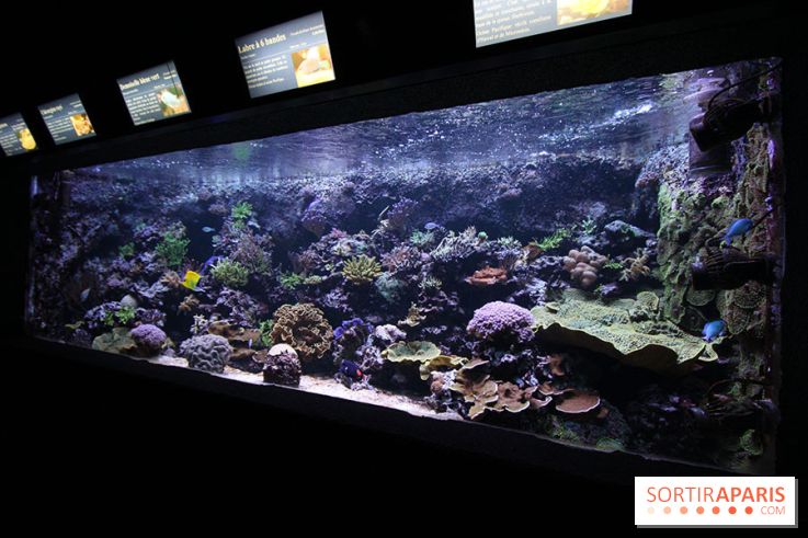 Aquarium de la Porte Dorée à Paris