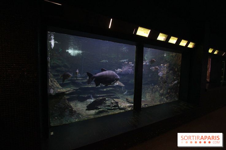 Aquarium de la Porte Dorée à Paris
