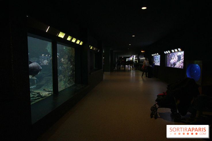 Aquarium de la Porte Dorée à Paris