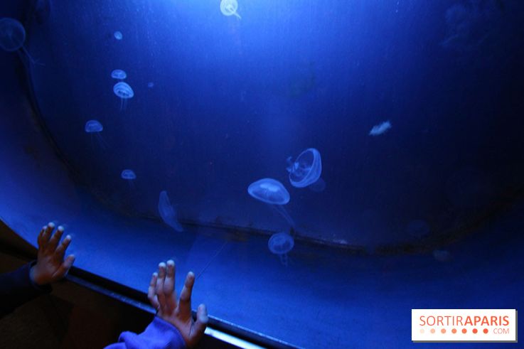 Aquarium de la Porte Dorée à Paris