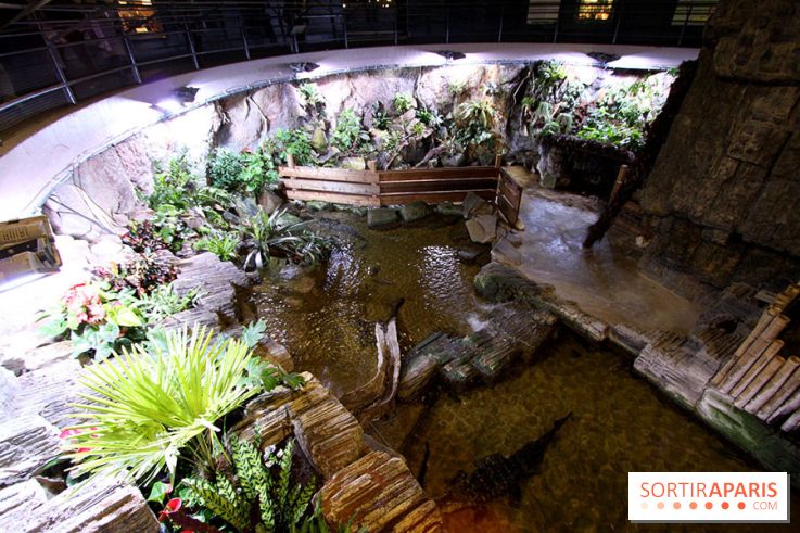 Aquarium de la Porte Dorée à Paris