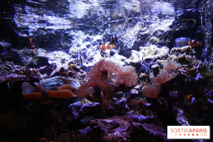 Aquarium de la Porte Dorée à Paris