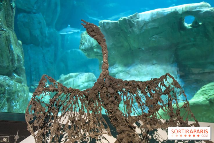 Aquarium de Paris : La Fabrique des profondeurs, l'exposition de Lionel Sabatté