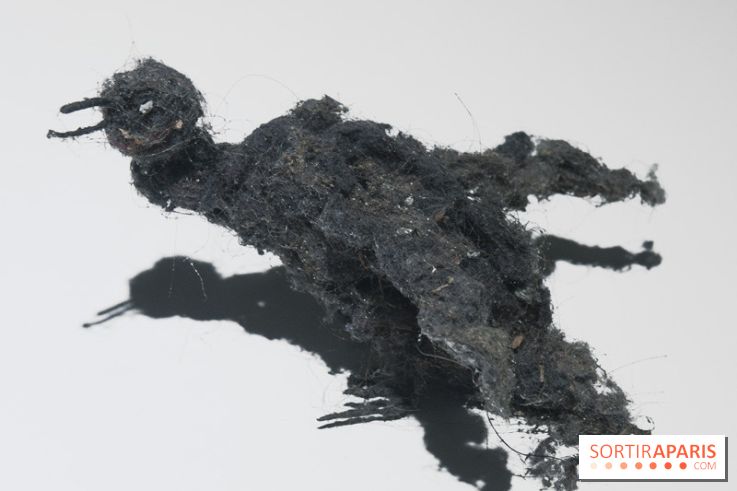 Aquarium de Paris : La Fabrique des profondeurs, l'exposition de Lionel Sabatté