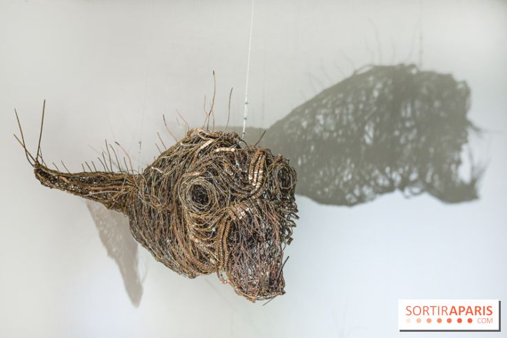 Aquarium de Paris : La Fabrique des profondeurs, l'exposition de Lionel Sabatté