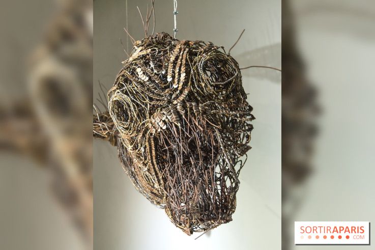 Aquarium de Paris : La Fabrique des profondeurs, l'exposition de Lionel Sabatté