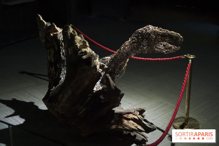 Aquarium de Paris : La Fabrique des profondeurs, l'exposition de Lionel Sabatté