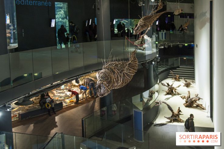 Aquarium de Paris : La Fabrique des profondeurs, l'exposition de Lionel Sabatté