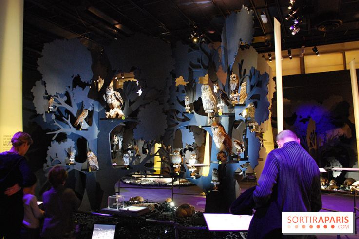 Exposition Nuit au Muséum Natinaol d'Histoire Naturelle