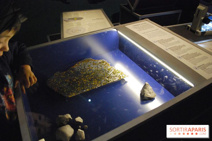 Exposition Nuit au Muséum Natinaol d'Histoire Naturelle