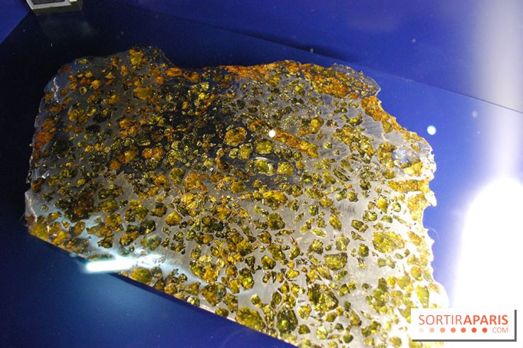 Exposition Nuit au Muséum Natinaol d'Histoire Naturelle