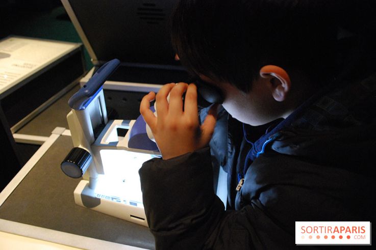 Exposition Nuit au Muséum Natinaol d'Histoire Naturelle