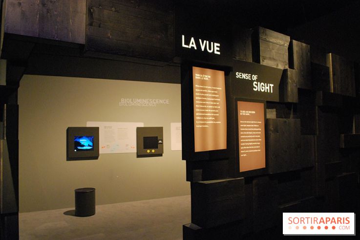 Exposition Nuit au Muséum Natinaol d'Histoire Naturelle