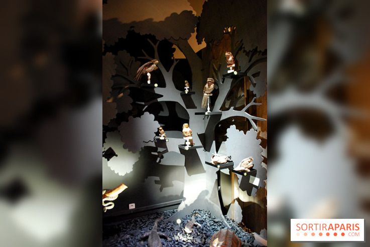 Exposition Nuit au Muséum Natinaol d'Histoire Naturelle