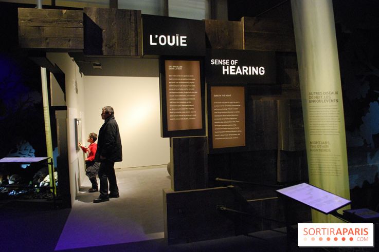 Exposition Nuit au Muséum Natinaol d'Histoire Naturelle