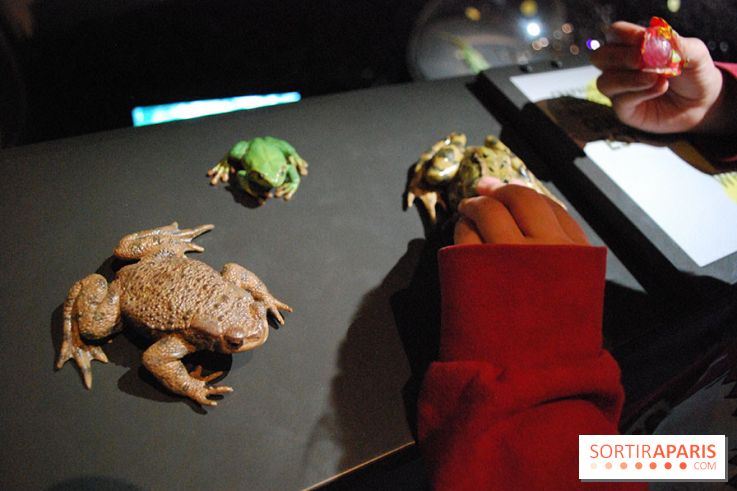 Exposition Nuit au Muséum Natinaol d'Histoire Naturelle