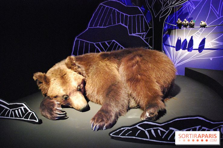 Exposition Nuit au Muséum Natinaol d'Histoire Naturelle