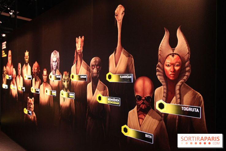 L'exposition Star Wars Identities à Paris