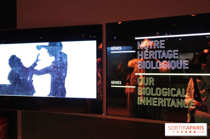 L'exposition Star Wars Identities à Paris