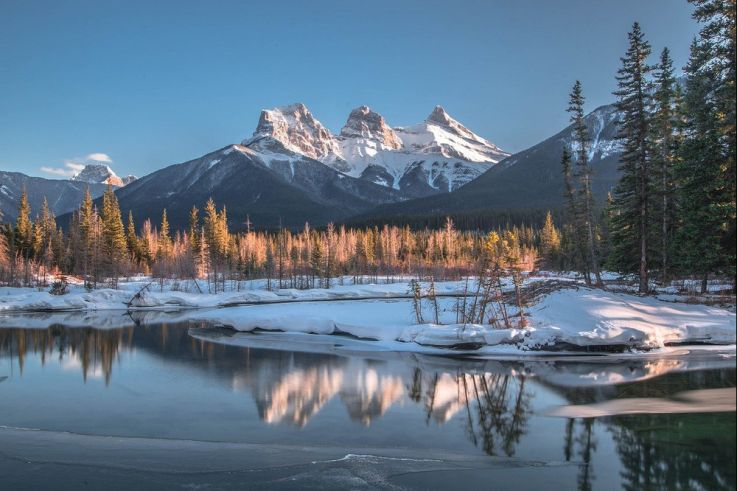 The Thicket : les premières images du western avec James Hetfield, Peter Dinklage et Juliette Lewis