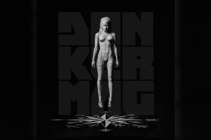 Die Antwoord en concert au Zénith de Paris en janvier 2015