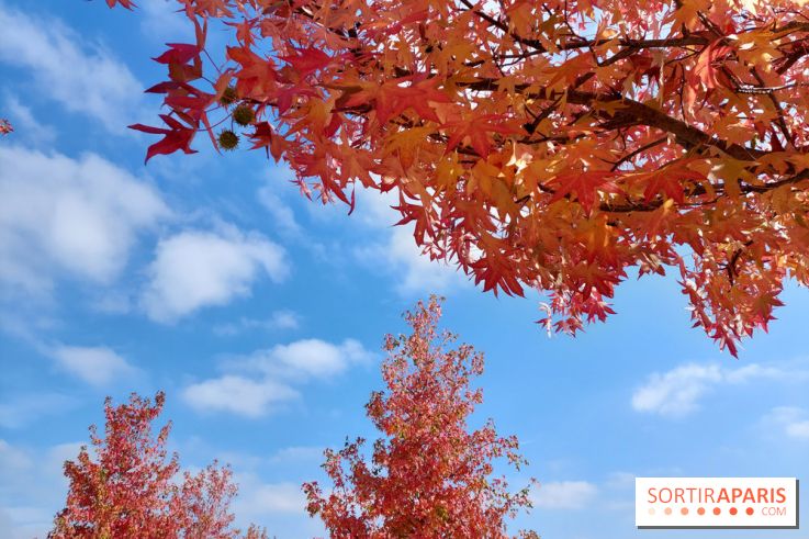 Que faire ce week-end à Paris et en Île-de-France, les 17, 18 et 19 octobre 2025 