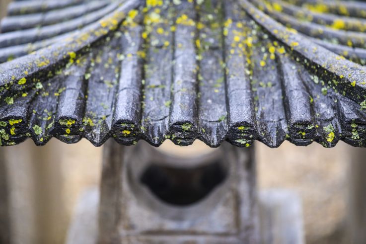 Rendez-vous aux jardins 2026 : visite zen d'un jardin japonisant en Essonne