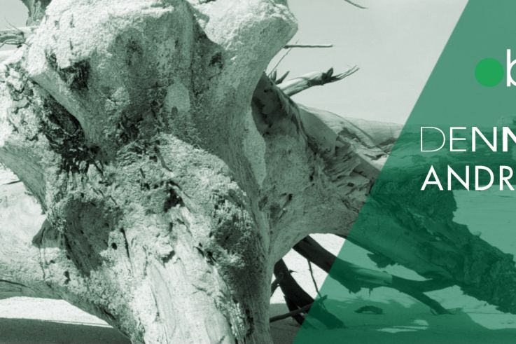 Dennis Ferrer au Zig Zag Club 