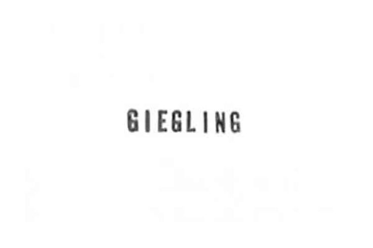 Giegling Nacht au Rex Club