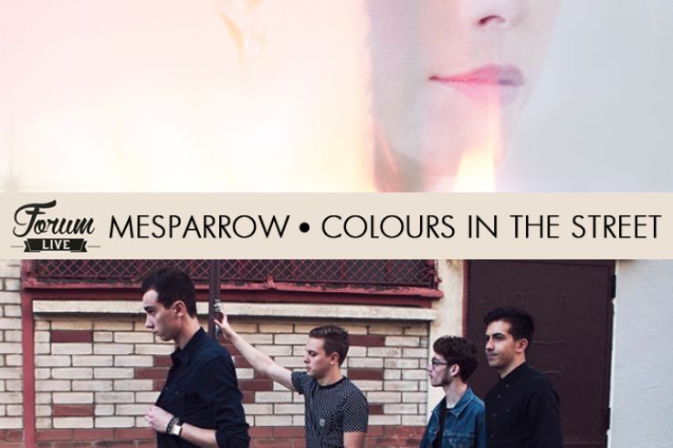 Forum LIVE 2015 avec Mesparrow et Colours In the Street