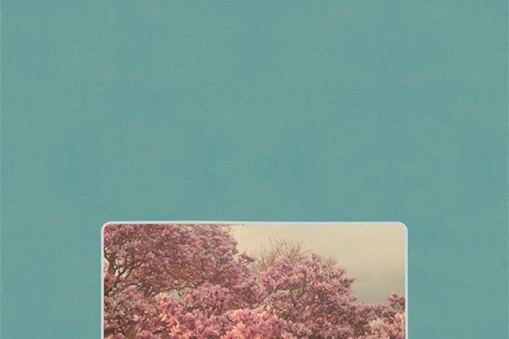 Beirut en concert au Zénith de Paris en septembre 2015