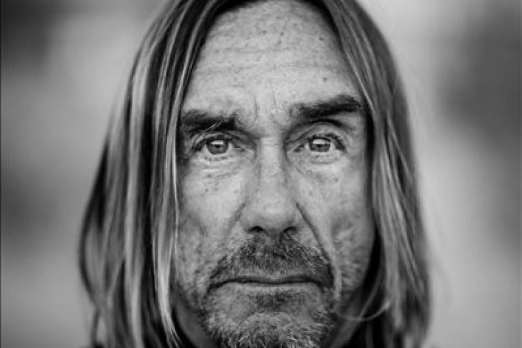 Iggy Pop en concert au Yoyo - Palais de Tokyo